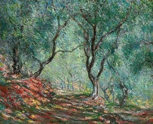 Bois d'oliviers au jardin Moreno, par Claude Monet