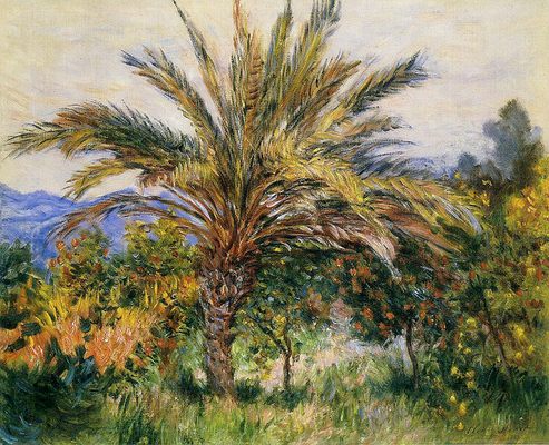 Palmier à bordighera, par Claude Monet