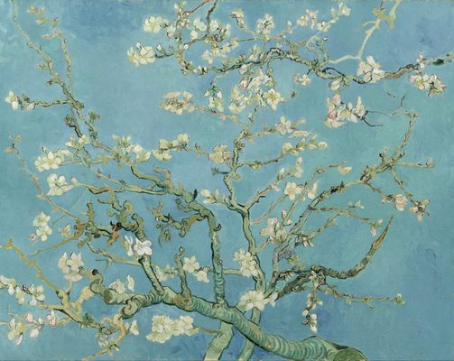 Amandier en fleurs, par Vincent Van Gogh