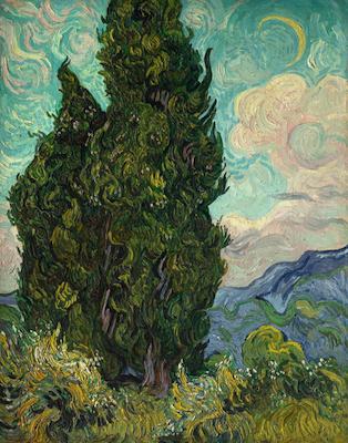Cyprès, par Vincent Van Gogh